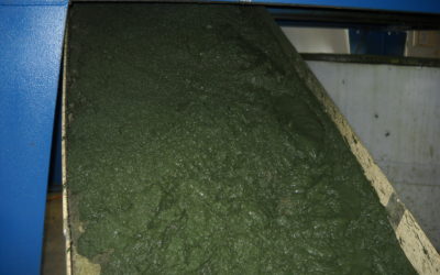 Algae Harvesting and Dewatering