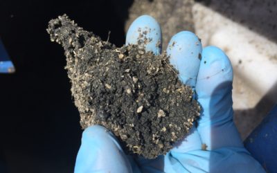 Benefits of using a centrifuge for  manure separations